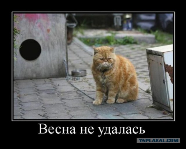 Подборка картинок