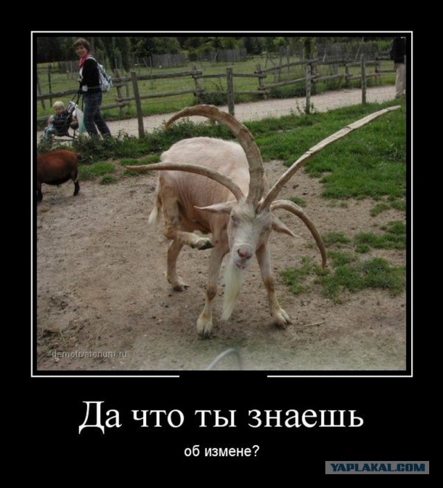 Про измену