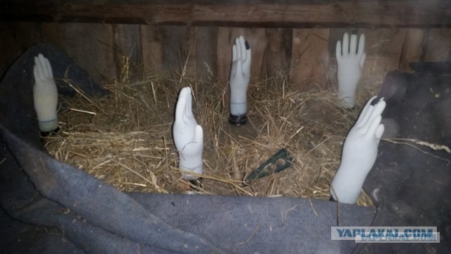 Самогоночка мандариновая.