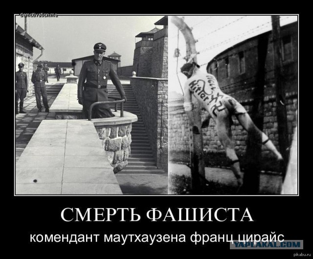 Кого мы победили в 1945 году