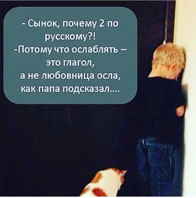 Детские высказывания в "подходящий" момент