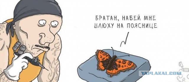 Пучок смешных картинок