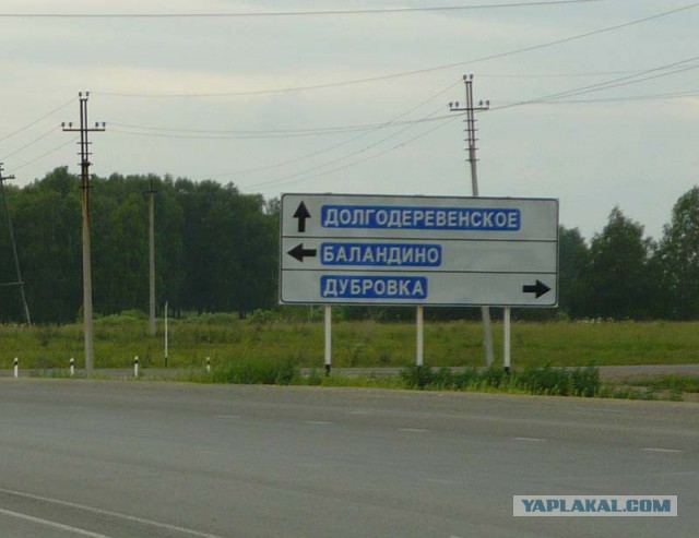 Исчезающая собака