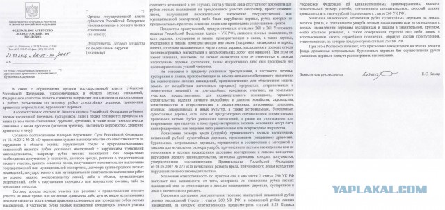 Как делают фермерский сыр