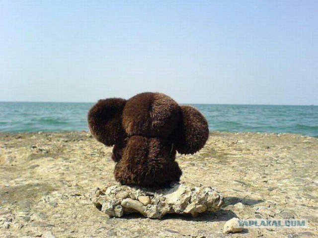 Россияне все чаще выбирают "курорты" Краснодарского края, а не Крым