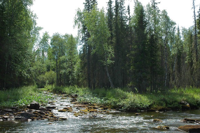 Деревенская Америка - 2
