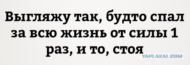 И так каждое утро...