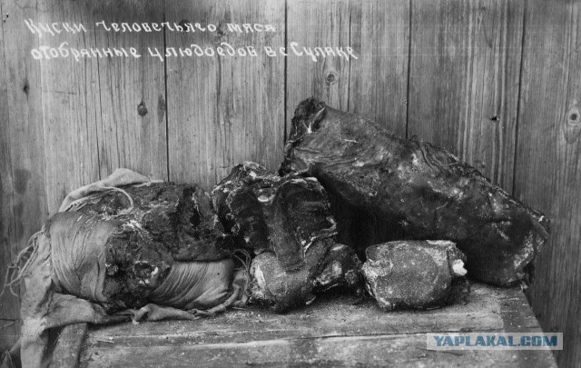 Самые известные случаи каннибализма ради выживания