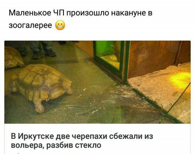 Смешные комментарии из социальных сетей 16.02.2018