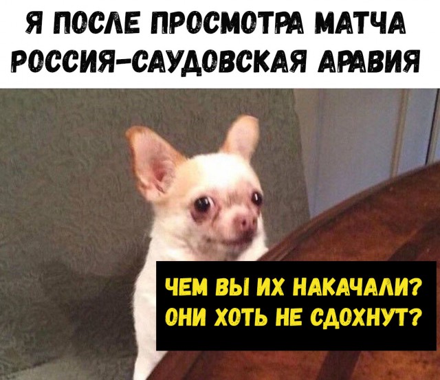 Нестандартный юмор