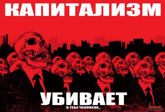 Чтобы не снижать цену на лосося, тонны свежей рыбы уничтожают
