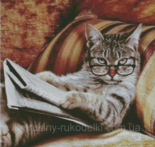 Кот 6 лет живёт на дереве