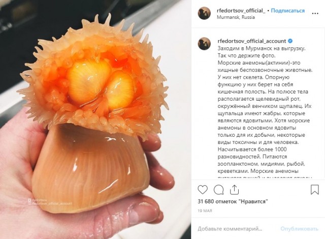 В океане поймали Кенни