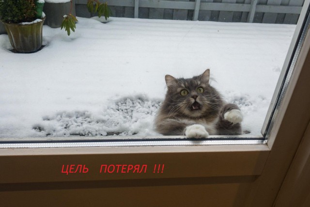 Цель опознана! Внимание - цель опознана!