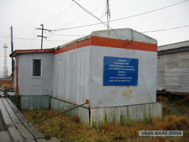 Разноцветная Сабетта
