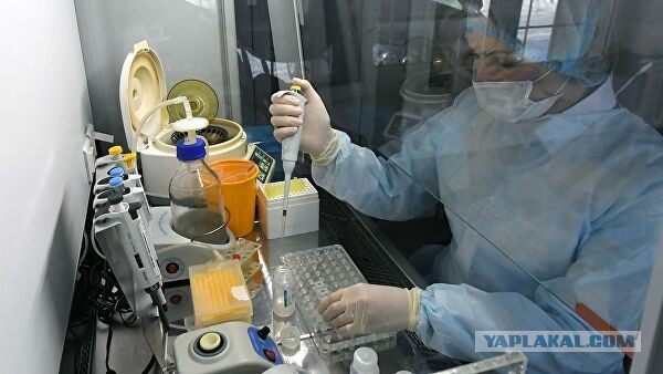 ​Москва купит тесты на коронавирус за 192 млн рублей. Разработкой займется фирма из Казани без сайта и телефона