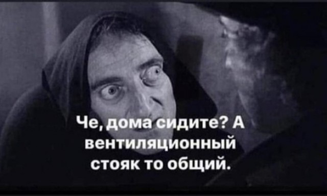 Кучка картинок №11