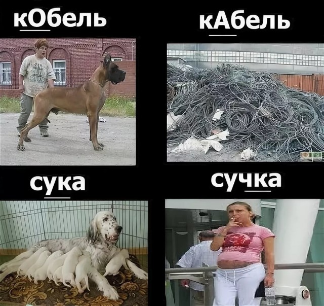 Боль граммарнаци. Глаголы русского языка, которые часто произносят неправильно