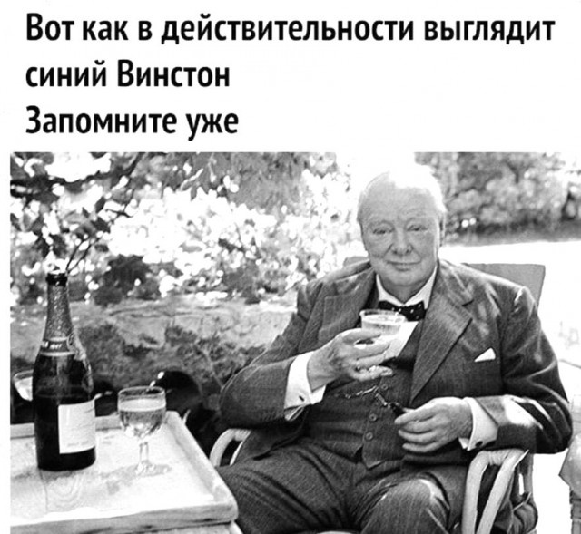 50 так себе картинок 27.05.20