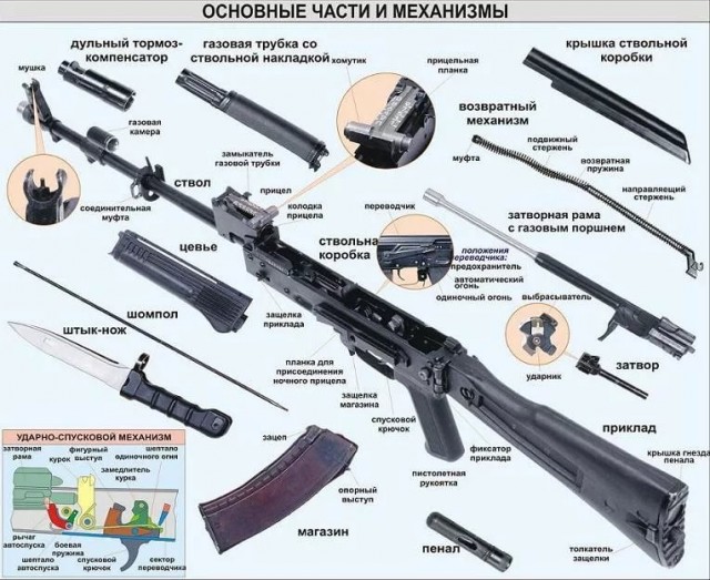 Мир сошел с ума