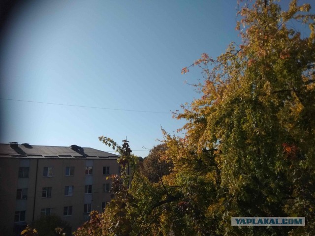 Справедливо ли, что женщины жрут наравне с мужчинами?