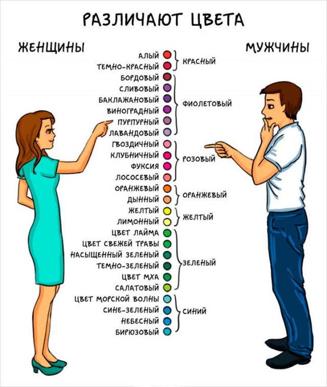 Как выглядит внешний мир на самом деле, если цвета не существует?