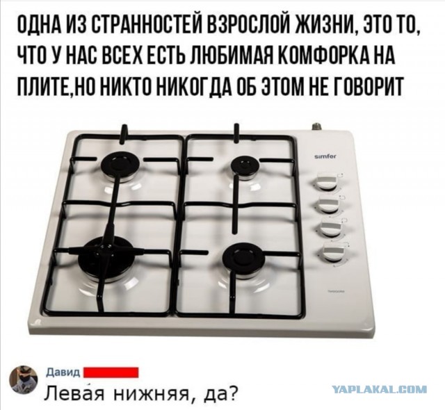 Немного картинок для настроения 06.11.20