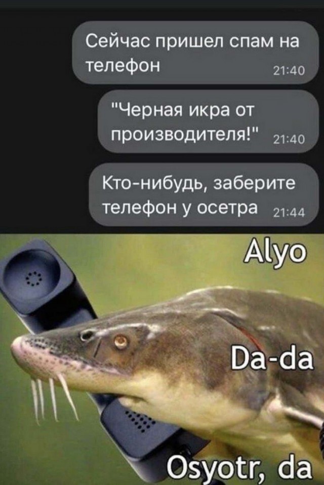 Решил ещё вам чуток черноты подкинуть 18+