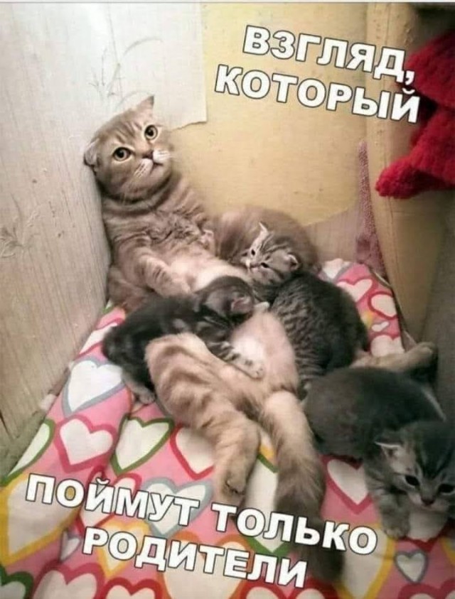 Всяческие картинки 16.06.2021