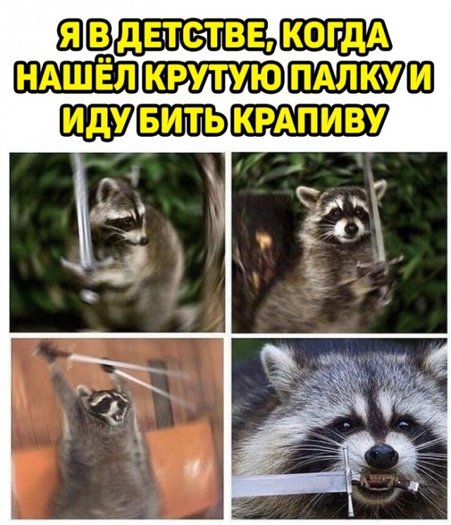 Весёлый полтишок 14.07