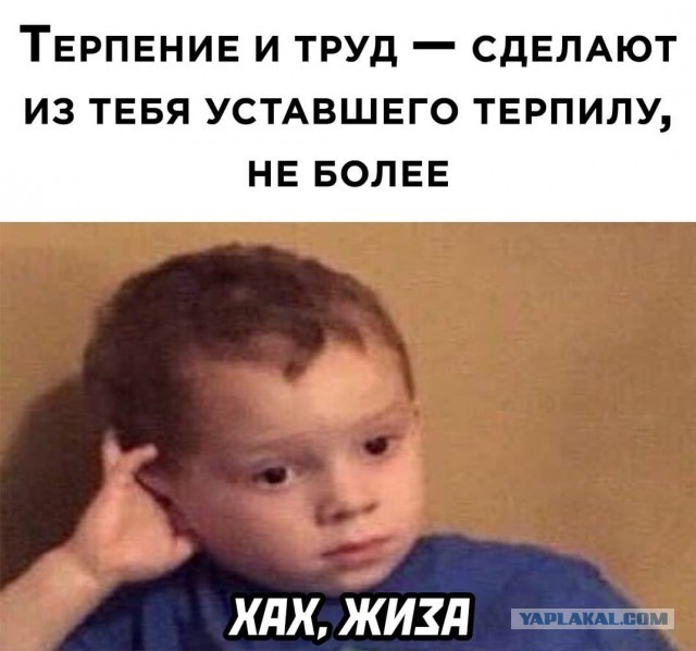 Картинки и мемы на все случаи жизни