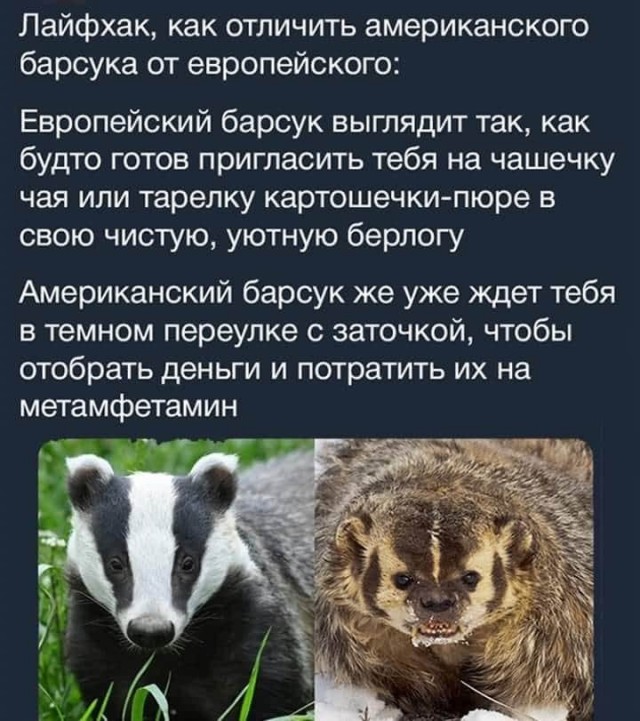 Не на тех напали