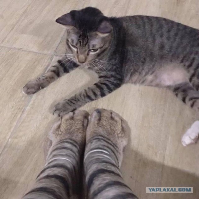 Мы рабы, рабы мы