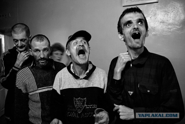 Жириновский и Зюганов встретились в больнице