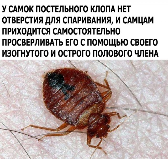 Так себе картинки 23.03.22