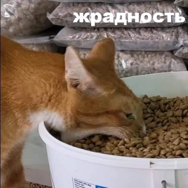 Весёлый полтишок 19.05.22