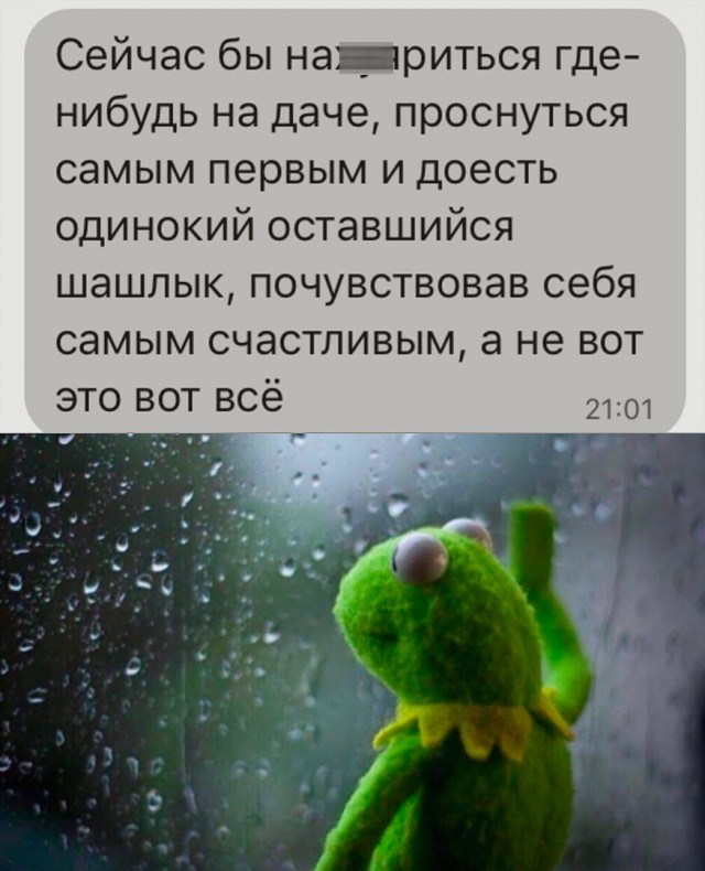 Так себе картинки 14.06.22