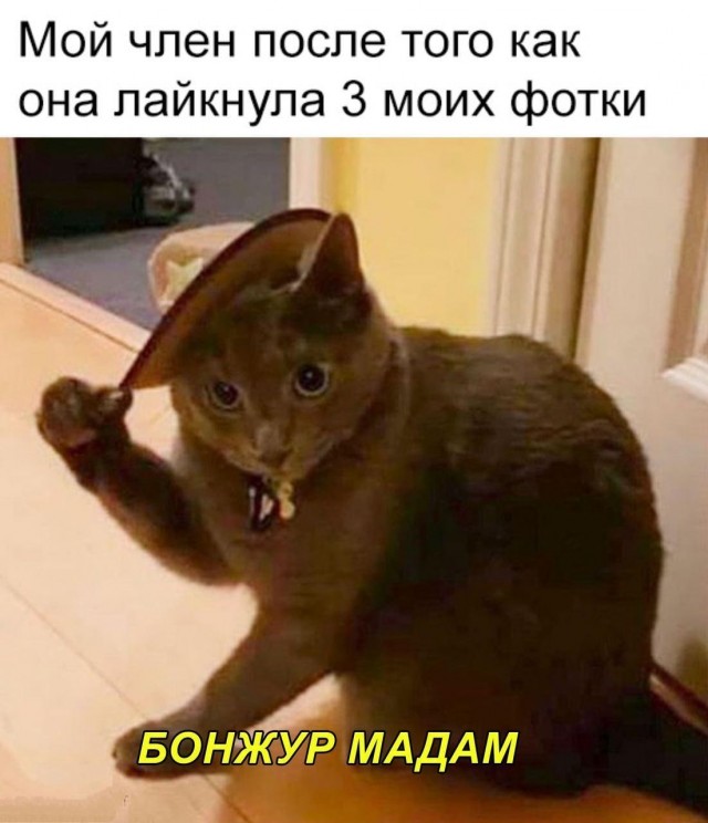 Немного мемчиков. Для взрослых 18+. Часть 4