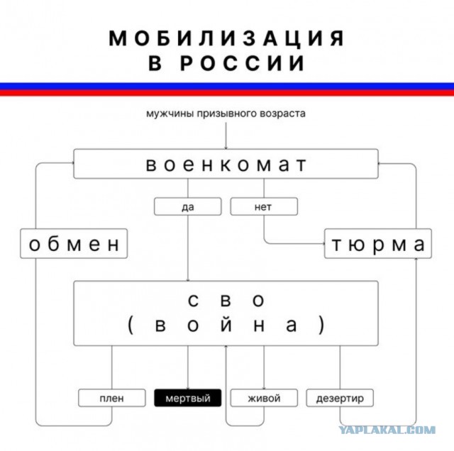 Госдума вводит в УК понятие «мобилизация», «военное положение» и «военное время»