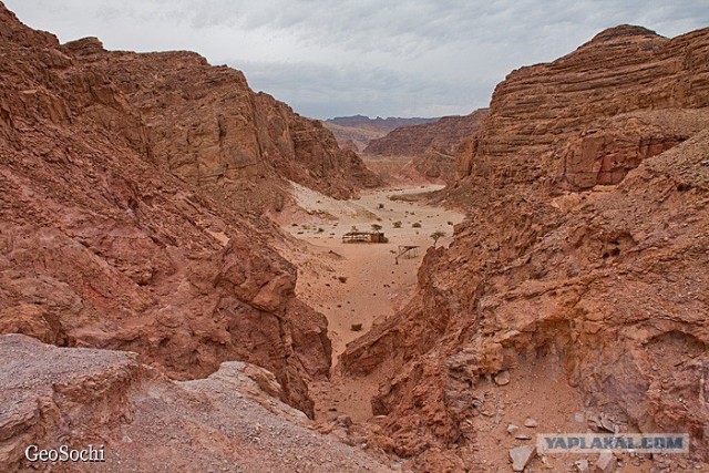 Синайские приключения. Шарм-эш-Шейх и окресности