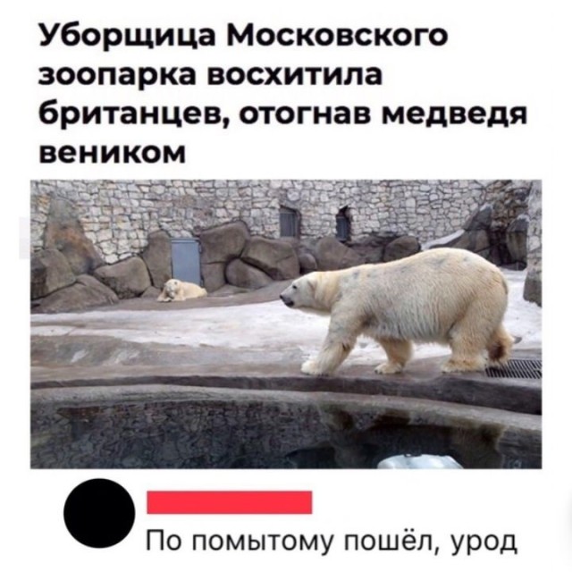 Так себе картинки 18.02.23