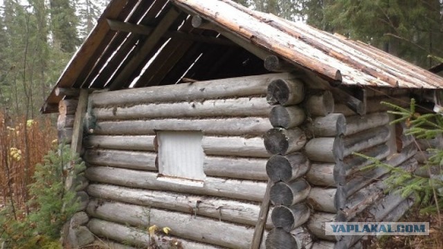 Тепло таёжной избушки.