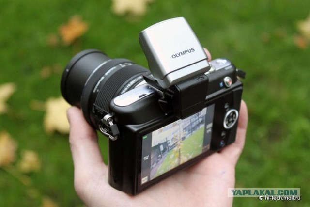 Canon или Nikon?