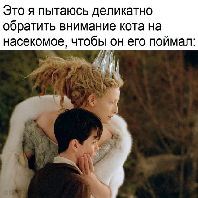 Так себе картинки 20.11.23