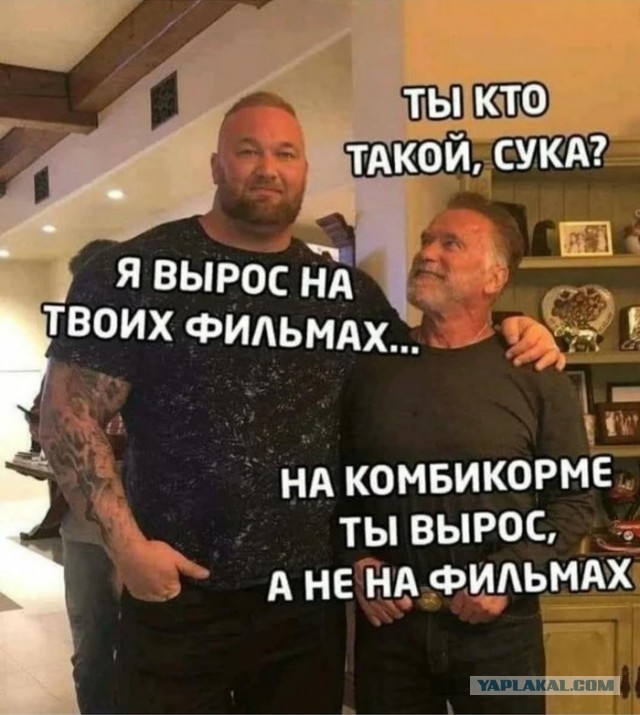 Лучшие фильмы с Арнольдом Шварценеггером