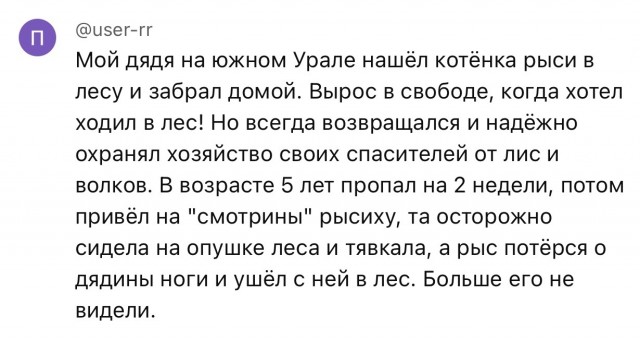 Прекрасная история⁠⁠