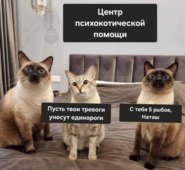 Тлидцать тли от 13 маЛта