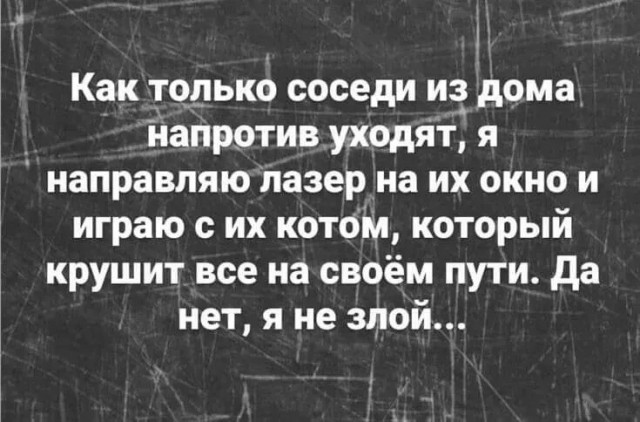 Так себе картинки 13.04.24