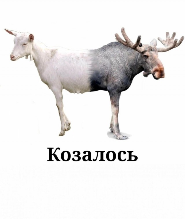 Завалялось тут случайно немного забавных картинок