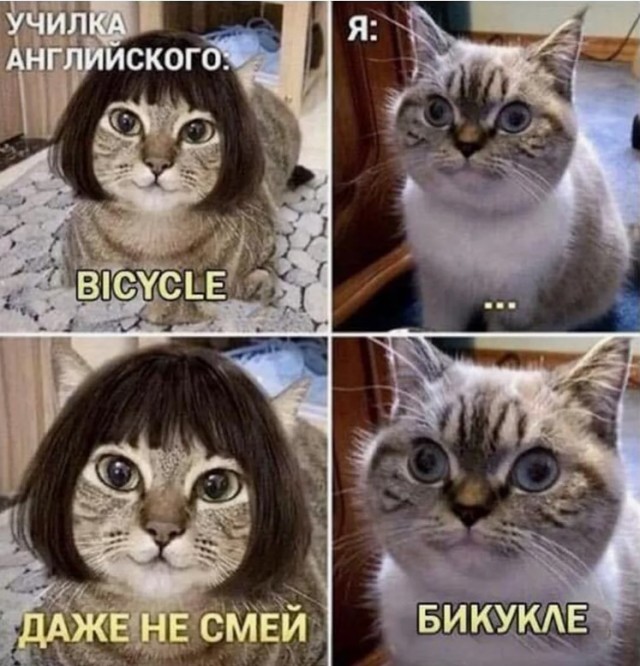 Лет ми спик фром май харт!